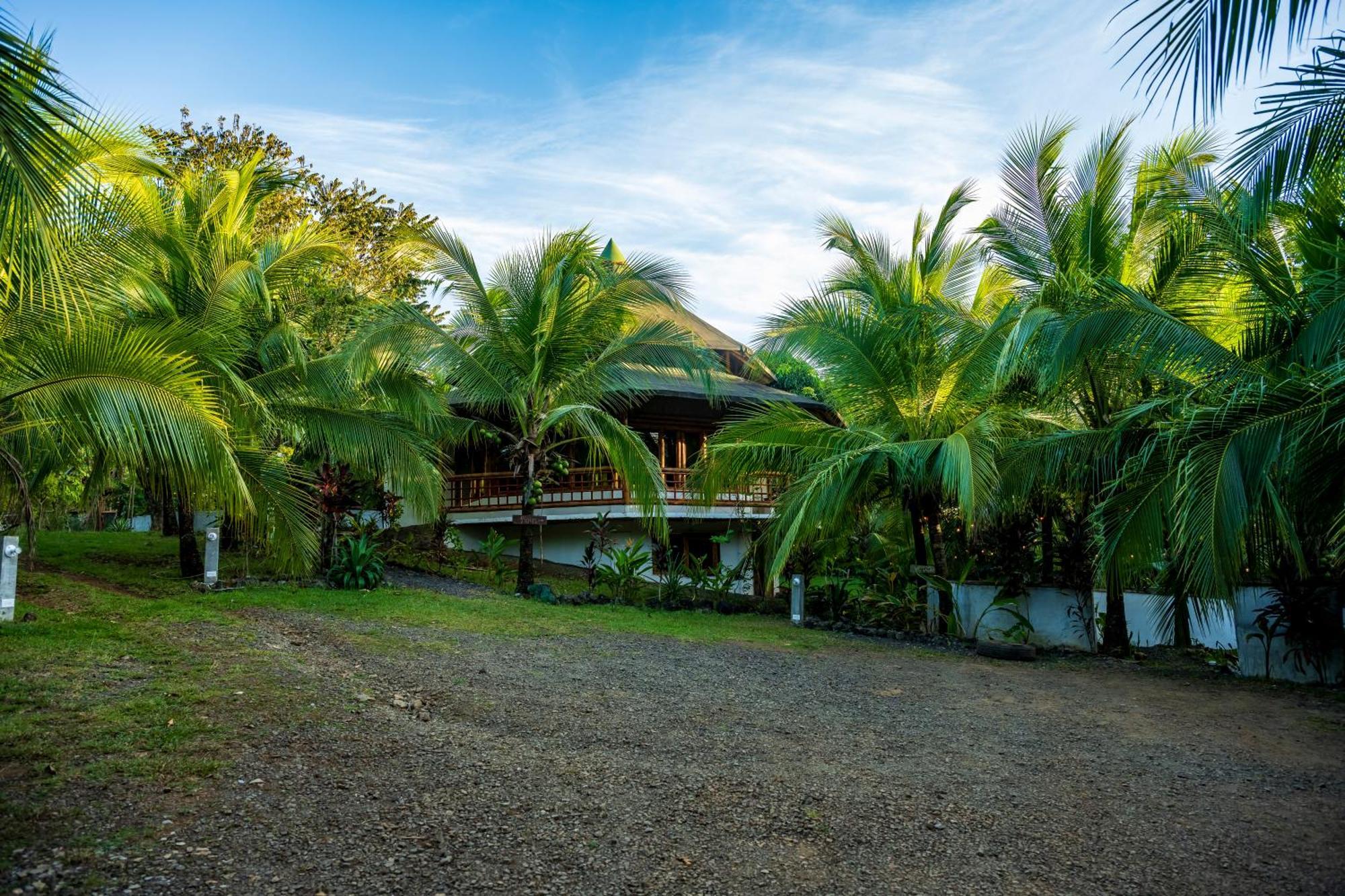 Eco-Lodge Deseo Bamboo Santa Catalina Dış mekan fotoğraf