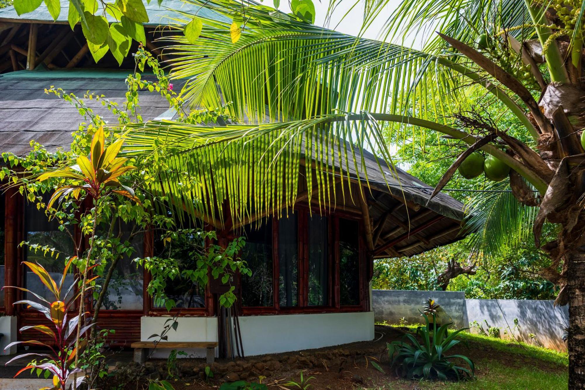 Eco-Lodge Deseo Bamboo Santa Catalina Dış mekan fotoğraf